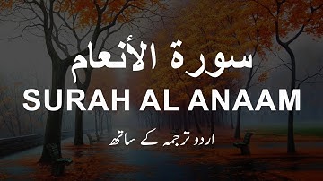 Surah Al An'am With Urdu Translation | Surah Anaam Tarjuma ke Sath | سورة الأنعام