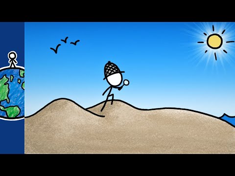 🌍MinuteEarth: რატომ არის ყველა ქვიშა ერთნაირი?