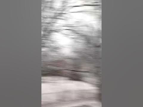 Freaking out over snow! :p - YouTube