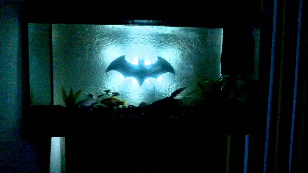 batman fish tank accessories CPLIKE Black Betta Hammock Floating Aquarium Rest Ledge for Nano Fish, Shrimp, Corydoras Natural-Look Black Perch Platform for Betta Tanks, Aquascape Decor, Low Flow Aquarium Accessory Arrange each feature for the perfect look and display your creation in the home or workplace for all to enjoy.This home decor aquarium comes with fun functions Betta Fish Hammock: Leaf Bed