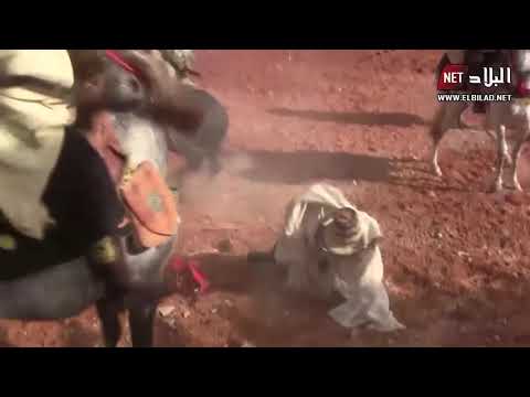 شاهدوا لحظة سقوط خيال عن حصانه في عرض ألعاب الفروسية لفنتازيا بالبيض بطريقة مثيرة