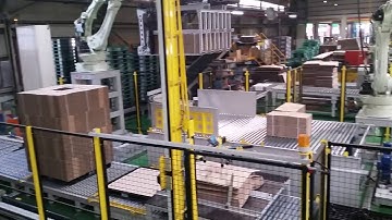 WSA Robot Palletizer Installed in Korea B