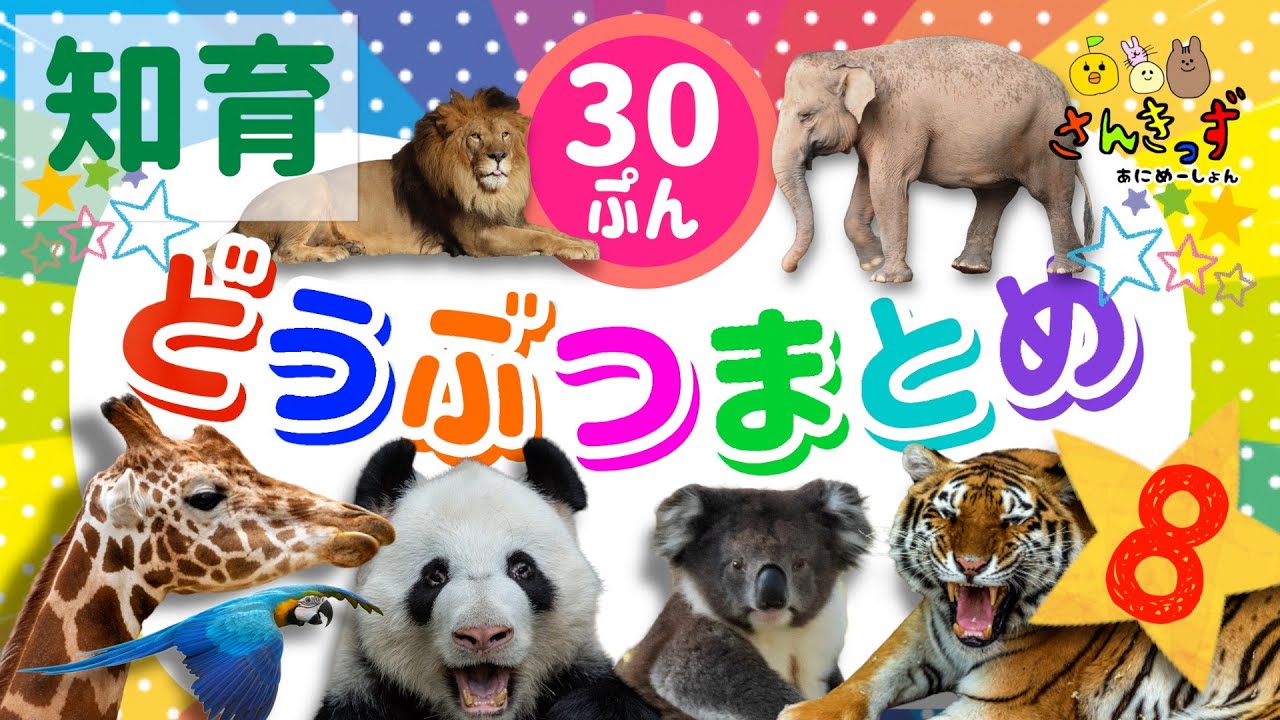 【子供向け 動物 知育アニメ】動物園のどうぶつたち大集合！！知育動画まとめ★【30分連続再生】キリン ぞうさん トラ など人気の動物がたくさん登場するよ⭐︎赤ちゃん 幼児が喜ぶアニメ