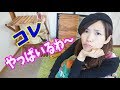 【キャンプ道具】初心者がこれからのアウトドアに向けて購入したもの♪