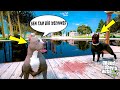 TERMİNATÖR ABİSİ SİYAH PİTBULL TYSON'LA KAVGA EDİYOR! - GTA 5