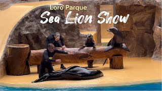 Sea Lion Show , LORO PARQUE TENERIFE Шоу морских котиков в Лоро парке, Тенерифе, Канарские острова.