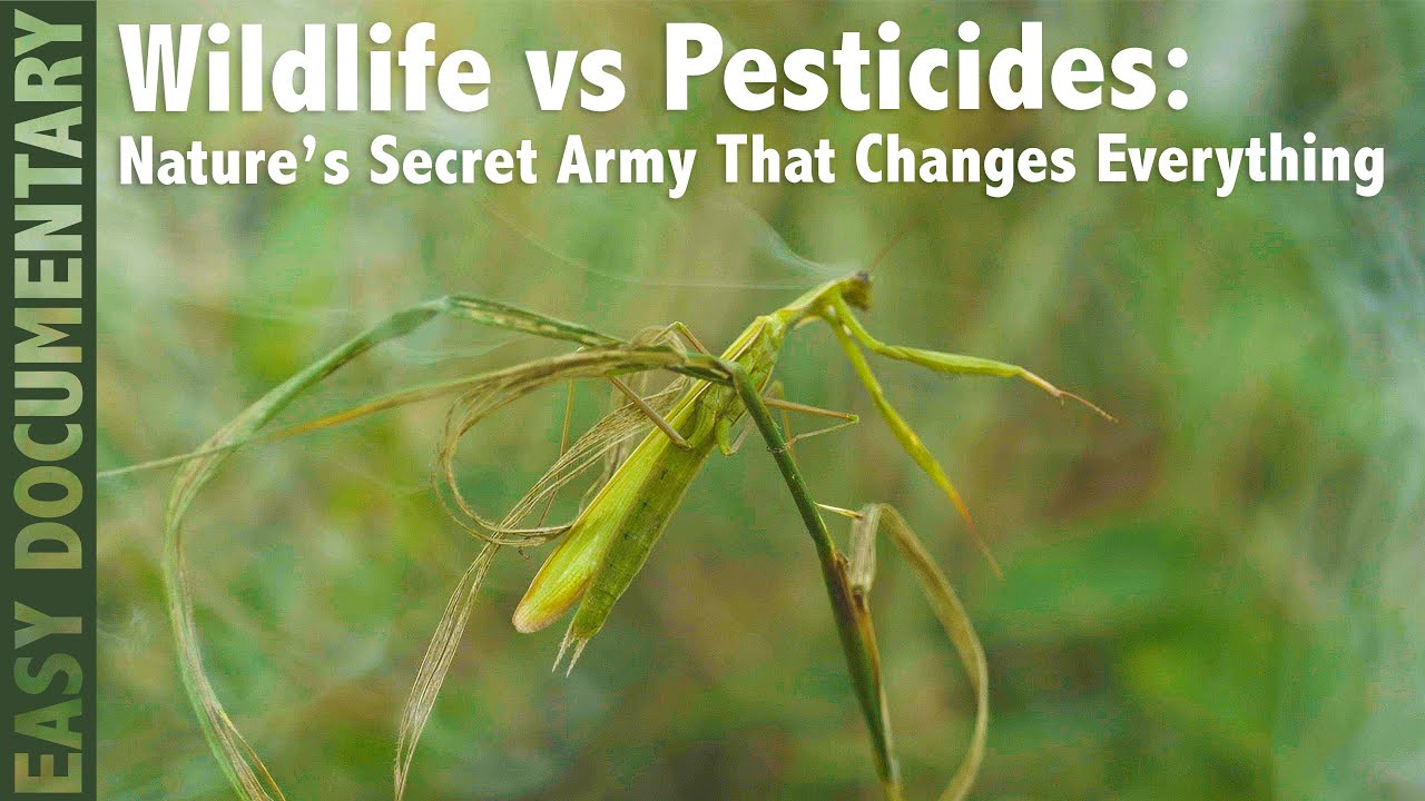 Wildlife vs Pesticides: Nature’s Secret Army That Changes Everything - Ep1-  Full Nature Documentary