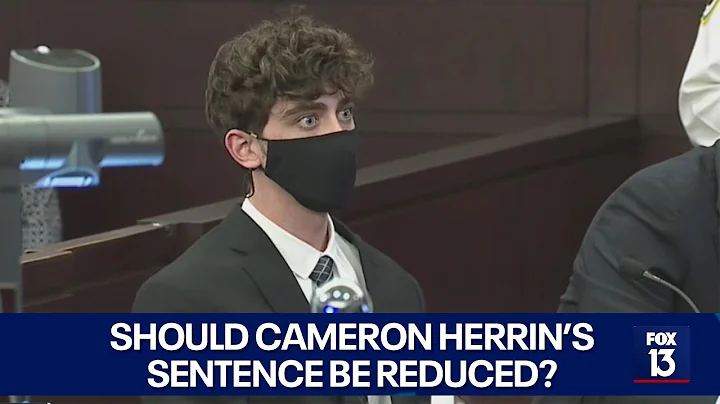 Cameron Herrin's sentencing debate continues over ...