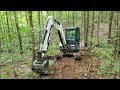 Mini excavator clearing trees & opening secret old logging road