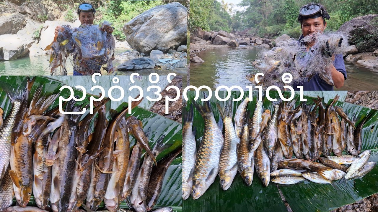 Go  7 mountain ⛰️ river ညၣ်အိၣ်ဒီဒူၣ်