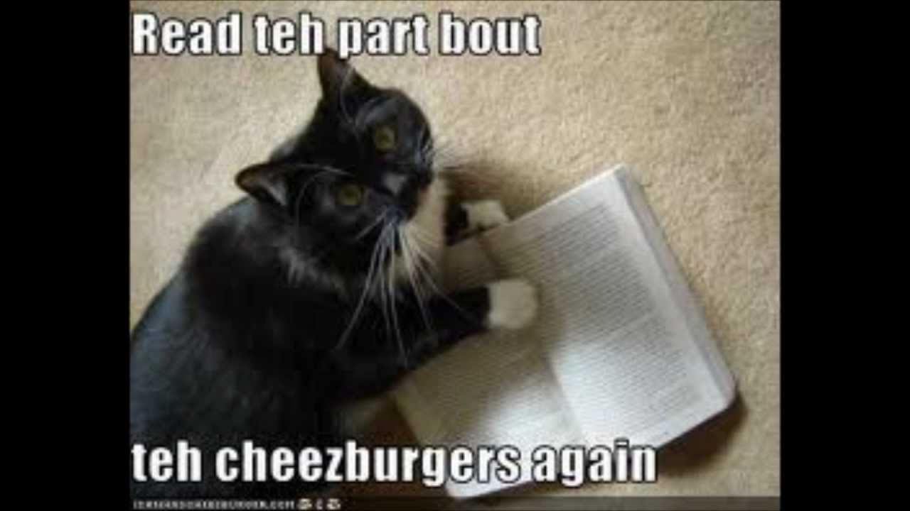 Ученье свет а неученье чуть свет и на работу картинка