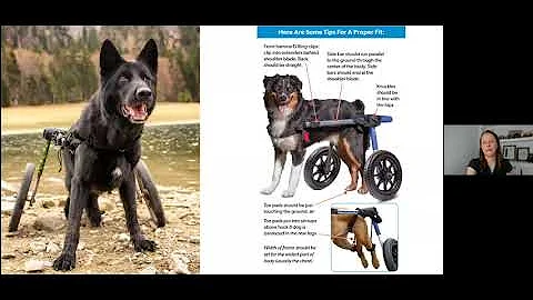 Walkin' Wheels - Clinical Uses and Tips & Tricks w...