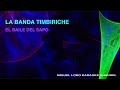 TIMBIRICHE - EL BAILE DEL SAPO - Karaoke Channel Miguel Lobo