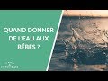 Quand donner de l'eau aux bébés ? - La Maison des maternelles #LMDM