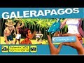 Vidéorègle du jeu de société " GALERAPAGOS " par Yahndrev (#601)(+sub)