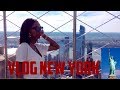 Vlog 1 NEW YORK