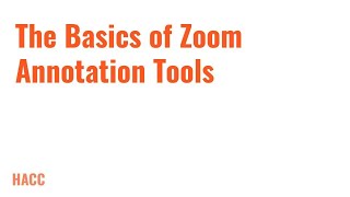 The Basics of Zoom Annotation Tools