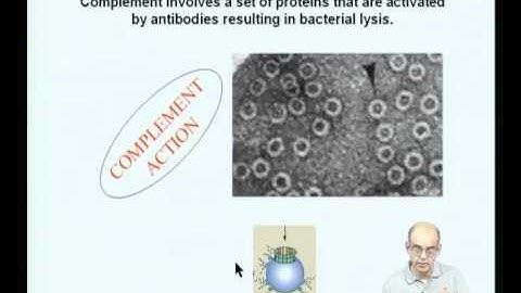 Mod-01 Lec-01 Introduction to the immune system