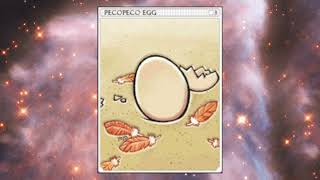 PECOPECO EGG CARD - []RAGNAROK ONLINE[].