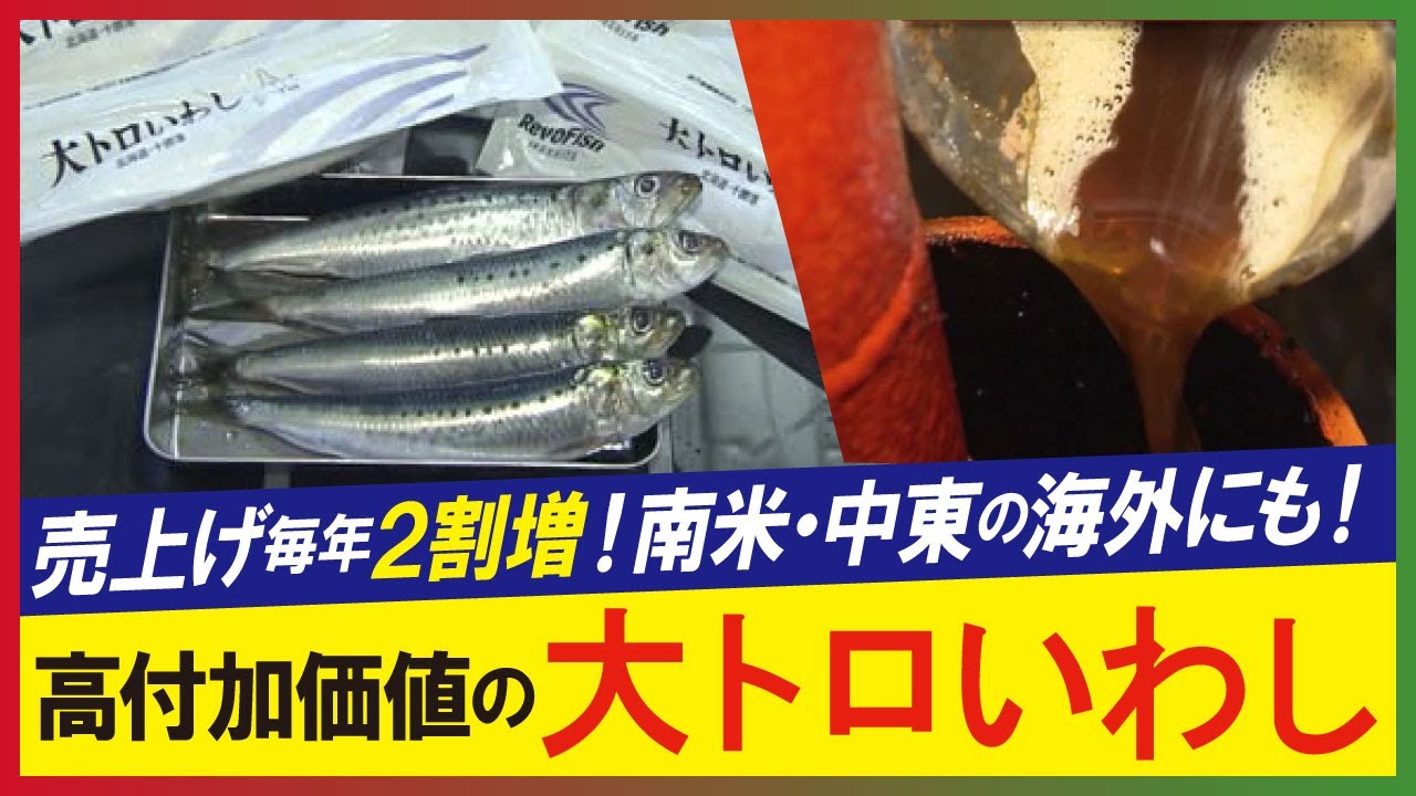 専門魚貝料理大辞典 プロのための貝料理 柴田書店