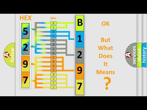 DTC Dodge B1297-11 Short Explanation