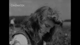 Au-delà des saisons (Charles Dekeukeleire - 1949)
Documentary-style promotional film about canned vegetables. A new industrial sector which allows the consumers to get fresh vegetables, even when the vegetables are off-season. The process, from the fields to the consumers plate, is shown. Au-delà des saisons (Charles Dekeukeleire - 1949)