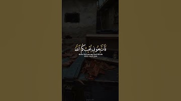 اكتب شي تؤجر عليه ♡✨️ ｜ القارئ على جابر رحمه الله ｜ قرآن كريم
