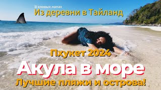 :   !  2024!     . -, .  , 