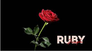 Last Episode Ruby Joseph - Red Rose. #imeroleplay #4blood
