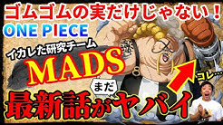 スーパーカミキカンデ One Pieceが大好きな神木 Youtube