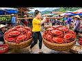 Harvesting Giant Fresh Crabs After Heavy Rain | Steamed Crabs Sold Out Fast at Market