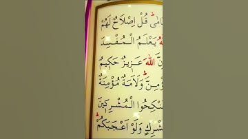 سورة البقرة الأية 220 القارئ مشاري راشد العفاسي