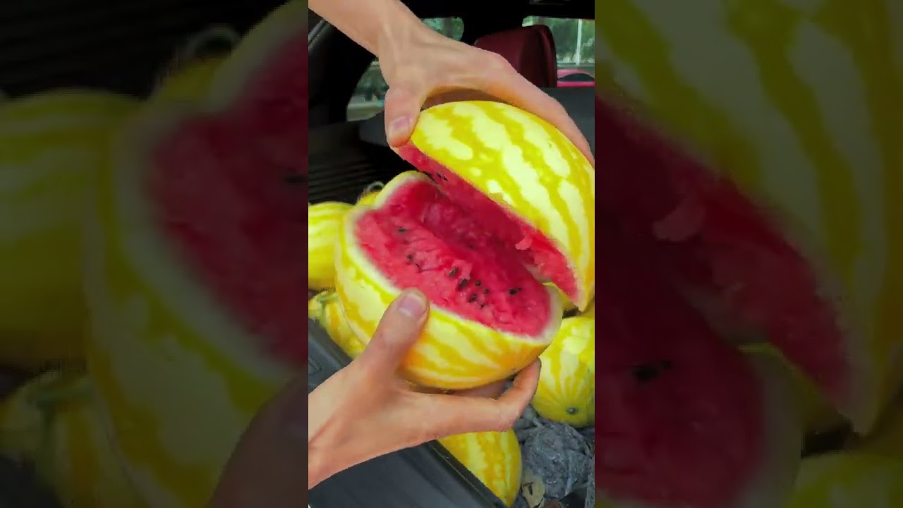 Dưa hấu vỏ vàng lạ mắt #989 #shorts #fruit #tiktokchina - youtube