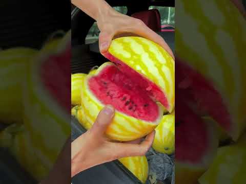 Video Dưa hấu vỏ vàng lạ mắt #989 #shorts #fruit #tiktokchina - youtube
