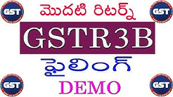 How to file GSTR3B in Telugu