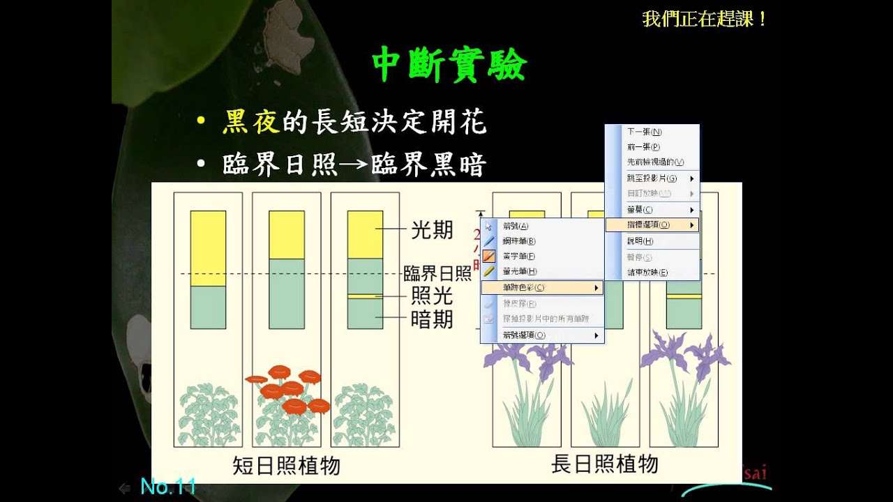 2 4 03植物的光周期性與開花的關係一信g - YouTube