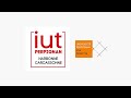 Iut   perpignan