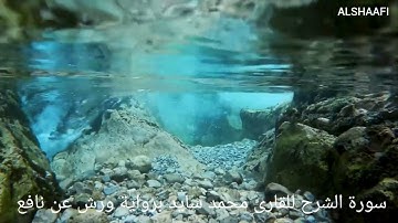 محمد سايد - سورة الشرح |094| MOHAMED SAYED - SURAT AL CHARH