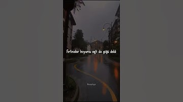 Thumbnail of Melike Şahin - Nasır