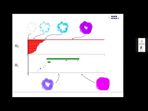 Nasreddine : Topological Data Analysis