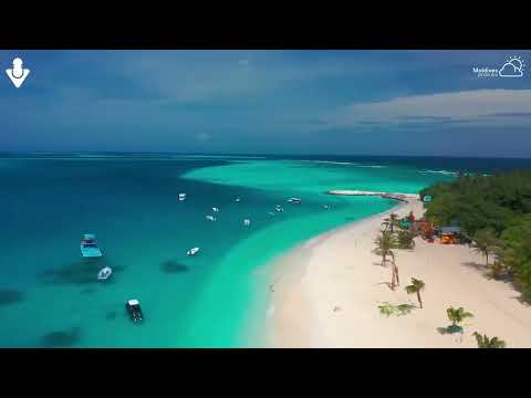 Avicii Maroon 5 Camila Cabello David Guetta Cover Summer Vibes Deep House Music Mix