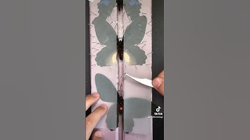 #Entomology #Insects  #Entomologist #Butterflies #Beetles #BugHunting #BugID #InsectCollection