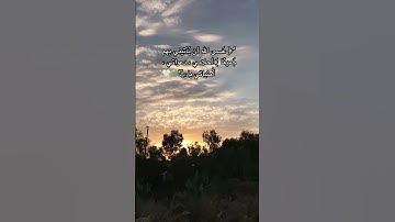 حالات واتساب اسلام صبحي قرآن سورة الانبياء#اكسبلور #قرآن #لايك #المصحف #تصويري #دعاء #حالات_واتس