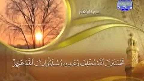 ﴿وَلَا تَحْسَبَنَّ اللَّهَ غَافِلاً عَمَّا يَعْمَلُ الظَّالِمُونَ ﴾ تلاوة للشيخ ماهر المعيقلي