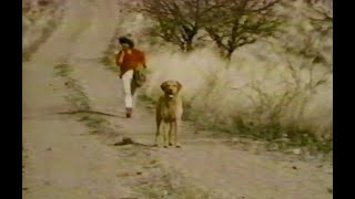 Disney's 'Pancho, The Fastest Paw in the West' Season 15 Ep 16