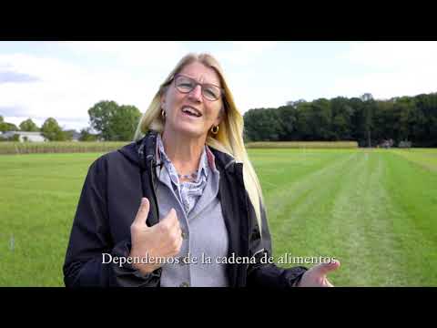 Video: Fertilizantes Minerales: Beneficio O Daño (parte 2)