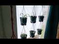 Como hacer Diy masetas colgantes, ventana, claridad, plantas 💖DIY window hanging planters, propaga