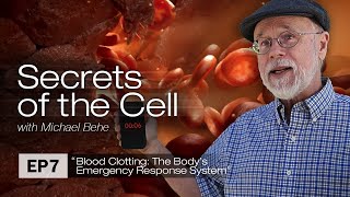 Blood Clotting: The Body’s Emergency Response System Secrets of the Cell, Ep. 7