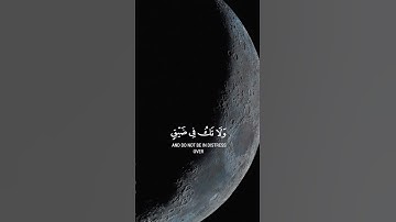 تلاوة تمنحك السكينة والاسترخاء. اسمع لكلمات الله التي تزيل الهموم وتملأ القلب بالنور والراحة النفسية