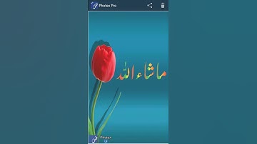 How to view photex pro gallery